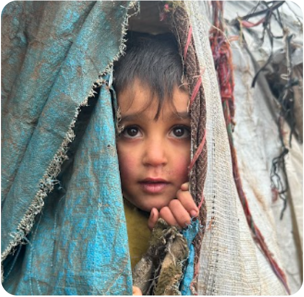 Child peering through tent fabric